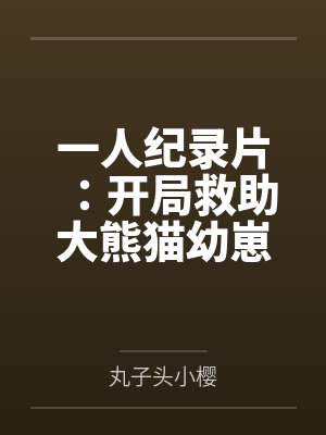 试婚总裁超会宠